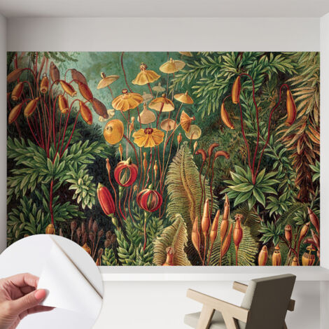 Carta da parati autoadesiva - Fotomurale adesivo - design elegante - stile moderno - Giardino esotico 152x104 cm