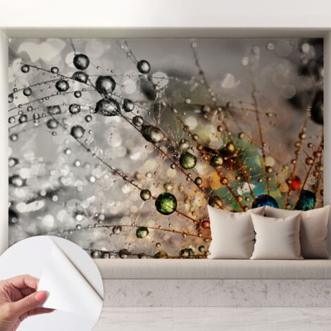 Carta da parati autoadesiva - Fotomurale adesivo - design elegante - stile moderno - Gocce di rugiada 208x146 cm