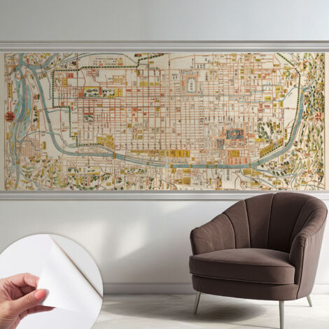 Carta da parati autoadesiva - Fotomurale adesivo - design elegante - stile moderno - Mappa antica 250x104 cm