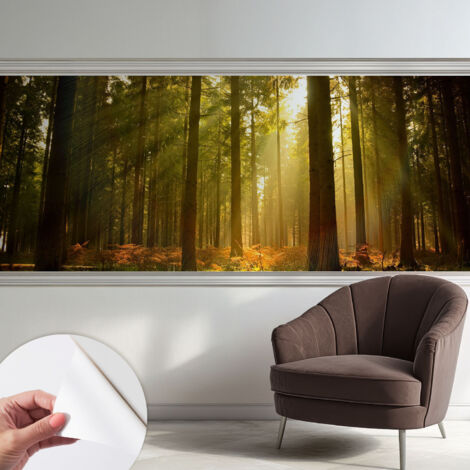 Carta da parati autoadesiva - Fotomurale adesivo - design elegante - stile moderno - Mattina nel bosco 250x104 cm