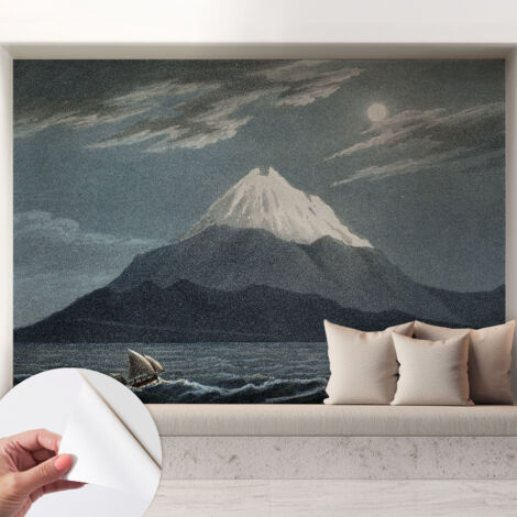 Carta da parati autoadesiva - Fotomurale adesivo - design elegante - stile moderno - Notte di luna 208x146 cm