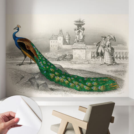 Carta da parati autoadesiva - Fotomurale adesivo - design elegante - stile moderno - Piume colorate 104x70 cm