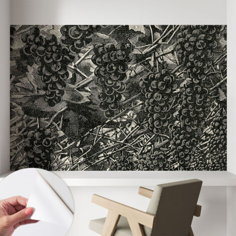 Carta da parati autoadesiva - Fotomurale adesivo - design elegante - stile moderno - Stampa a grappoli d'uva 104x70 cm