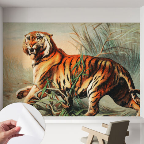 Carta da parati autoadesiva - Fotomurale adesivo - design elegante - stile moderno - Tigre nella natura 152x104 cm