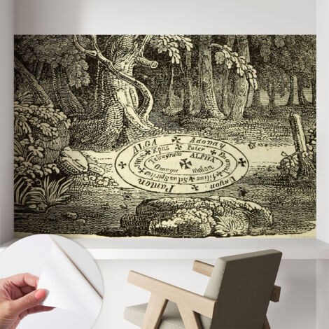 Carta da parati autoadesiva - Fotomurale adesivo - soggiorno moderno - resistente - Cerchio magico 104x70 cm
