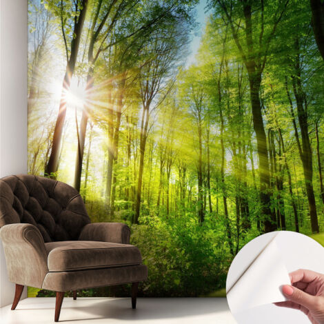 Carta da parati autoadesiva - Fotomurale adesivo - soggiorno moderno - resistente - Luce del bosco 250x250 cm