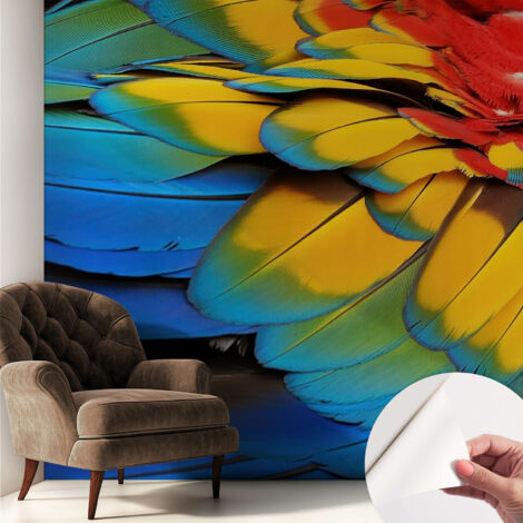 Carta da parati autoadesiva - Fotomurale adesivo - soggiorno moderno - resistente - Piume arcobaleno 250x250 cm