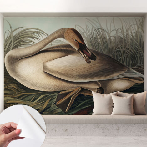 Carta da parati autoadesiva - Fotomurale adesivo - soggiorno moderno - resistente - Uccello naturale 208x146 cm