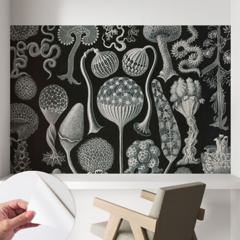 Carta da parati autoadesiva - fotomurale - alta qualità - per la cucina - camera da letto - Piante magiche 104x70 cm