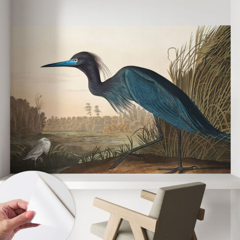Carta da parati autoadesiva - fotomurale - alta qualità - per la cucina - camera da letto - Uccelli acquatici 104x70 cm