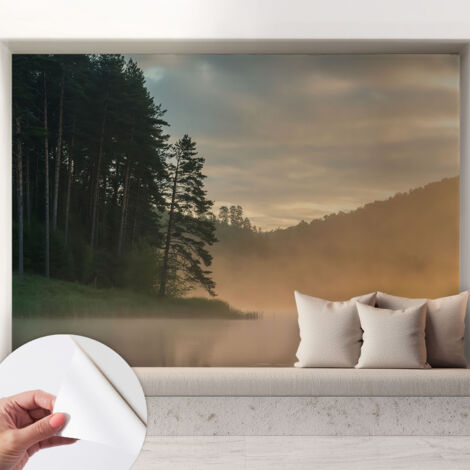 Carta da parati autoadesiva - fotomurale - decorazione parete - murale - adesivo da muro - Mattina nebbiosa 208x146 cm