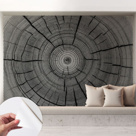 Carta da parati autoadesiva - fotomurale - decorazione parete - stile elegante - decorazione casa - Armonia boschiva 208x146 cm