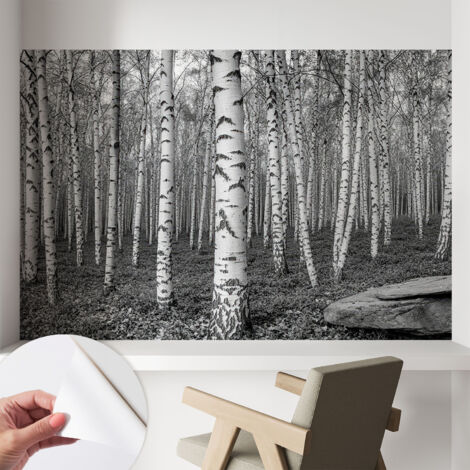 Carta da parati autoadesiva - fotomurale - decorazione parete - stile elegante - decorazione casa - Bosco di betulle 104x70 cm