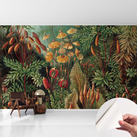 Carta da parati autoadesiva - fotomurale - decorazione parete - stile elegante - decorazione casa - Giardino esotico 416x254 cm