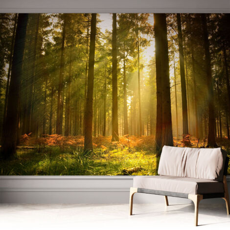 Carta da parati autoadesiva - fotomurale - decorazione parete - stile elegante - decorazione casa - Mattina nel bosco 312x219 cm