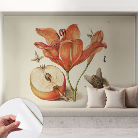 Carta da parati autoadesiva - impermeabile - murale da parete - decorazione murale - Illustrazione botanica 208x146 cm
