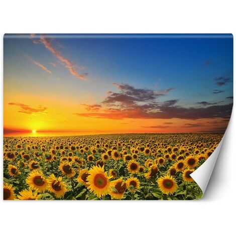Carta Da Parati, Campo di girasoli Natura - 400x280
