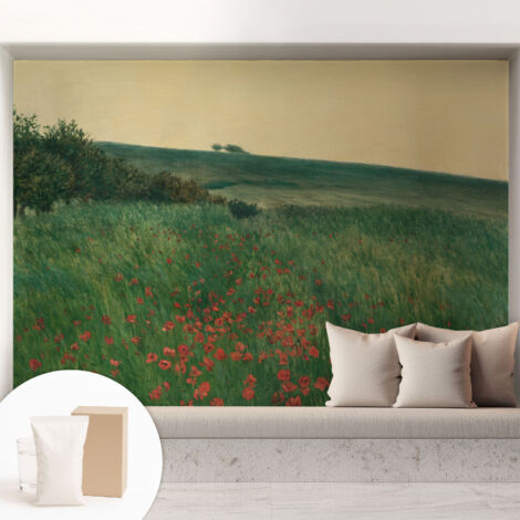 Carta Da Parati con design moderno - con motivi moderni - Fotomurali in TNT Soggiorno Camera De Letto Sala Ufficio campi di papaveri 208x146 cm