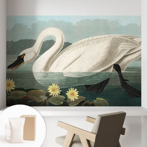 Carta Da Parati con design moderno - con motivi moderni - Fotomurali in TNT Soggiorno Camera De Letto Sala Ufficio Cigno e ninfee 104x70 cm