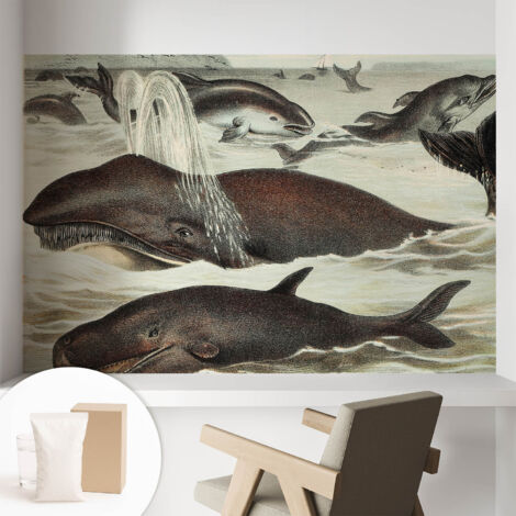 Carta Da Parati con design moderno - con motivi moderni - Fotomurali in TNT Soggiorno Camera De Letto Sala Ufficio Creature marine 104x70 cm