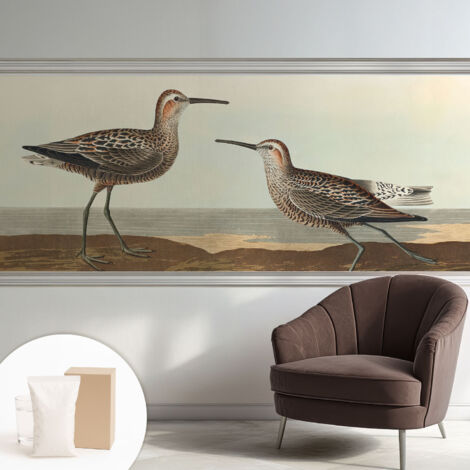 Carta Da Parati con design moderno - con motivi moderni - Fotomurali in TNT Soggiorno Camera De Letto Sala Ufficio Sagome di uccelli 250x104 cm