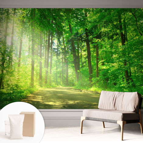 Carta Da Parati con design moderno - con motivi moderni - Fotomurali in TNT Soggiorno Camera De Letto Sala Ufficio Sentiero nel bosco 312x219 cm