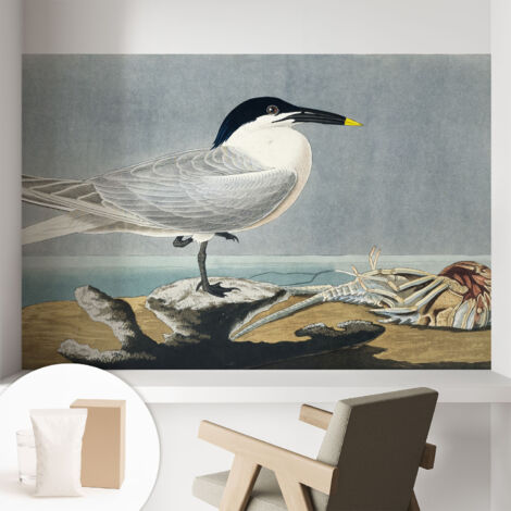 Carta Da Parati Con Design Moderno - Per Rinnovamento Rapido - Non-Woven - Per Interni Moderni Eleganza ornitologica 104x70 cm