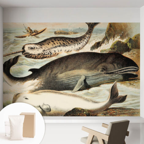 Carta Da Parati Con Design Moderno - Per Rinnovamento Rapido - Non-Woven - Per Interni Moderni Giganti del mare 152x104 cm