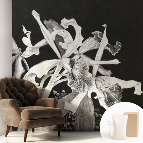 Carta Da Parati Con Design Moderno - Per Rinnovamento Rapido - Non-Woven - Per Interni Moderni Illustrazione di un'orchidea 250x250 cm