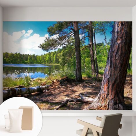 Carta Da Parati Con Design Moderno - Per Rinnovamento Rapido - Non-Woven - Per Interni Moderni Paesaggio forestale 152x104 cm