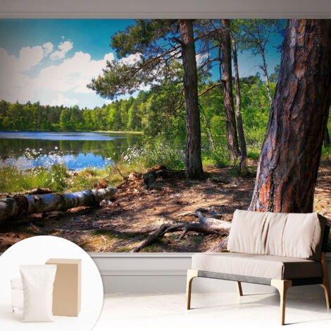 Carta Da Parati Con Design Moderno - Per Rinnovamento Rapido - Non-Woven - Per Interni Moderni Paesaggio forestale 312x219 cm