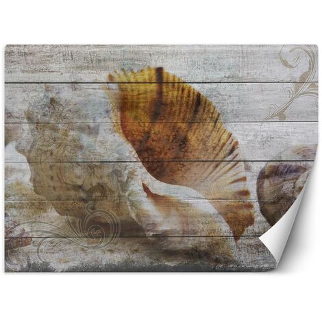 Carta Da Parati, Conchiglie Legno Mare Vintage - 400x280