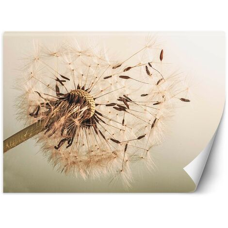 Carta Da Parati, Dente di leone beige - 254x184