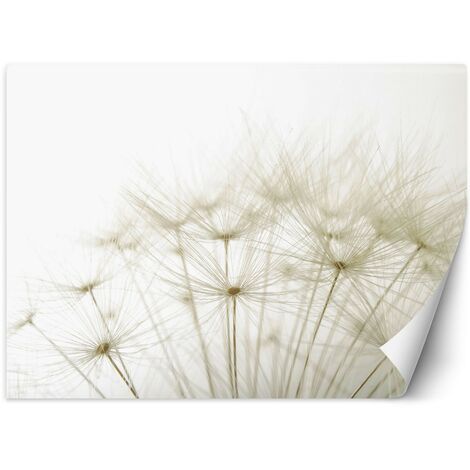 Carta Da Parati, Dente di Leone Macro Beige - 150x105