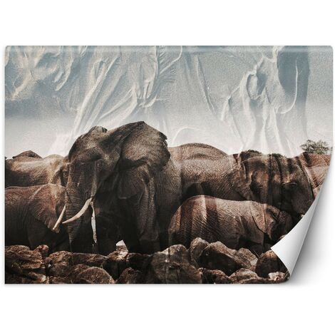 Carta Da Parati, Elefante Africa Animale Natura - 400x280
