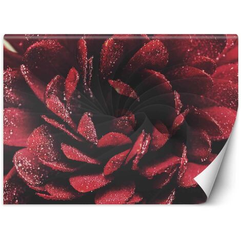 Carta Da Parati, Fiore in scala macro - 300x210
