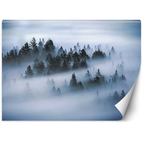 Carta Da Parati, Foresta nella nebbia - 400x280