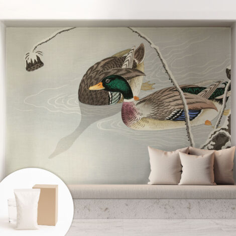 Carta Da Parati - Fotomurale In Vlies - per Decorazione pareti - Per La Cucina Camera Da Letto Per La Soggiorno Anatre calme 208x146 cm
