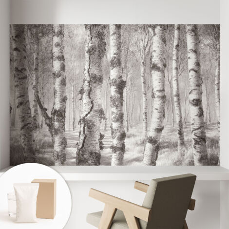 Carta Da Parati - Fotomurale In Vlies - per Decorazione pareti - Per La Cucina Camera Da Letto Per La Soggiorno Foresta di betulle 104x70 cm
