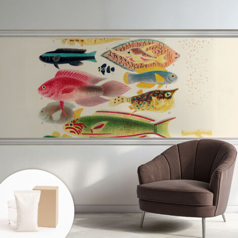 Carta Da Parati - Fotomurale In Vlies - per Decorazione pareti - Per La Cucina Camera Da Letto Per La Soggiorno Pesci colorati 250x104 cm