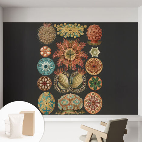Carta Da Parati - Fotomurale In Vlies - per Decorazione pareti - Per La Cucina Camera Da Letto Per La Soggiorno Seaspirations 152x104 cm