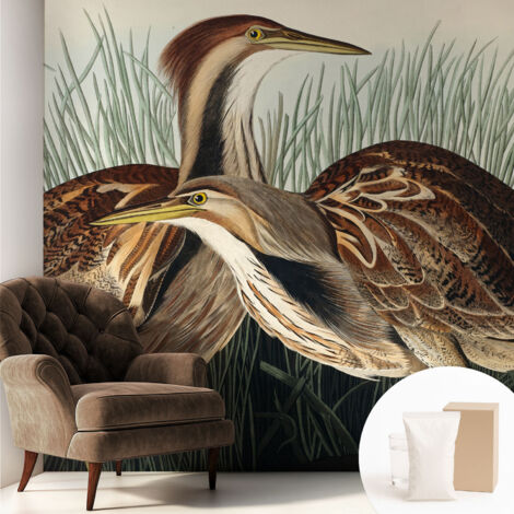 Carta Da Parati - Fotomurale In Vlies - per Decorazione pareti - Per La Cucina Camera Da Letto Per La Soggiorno Uccelli realistici 250x250 cm
