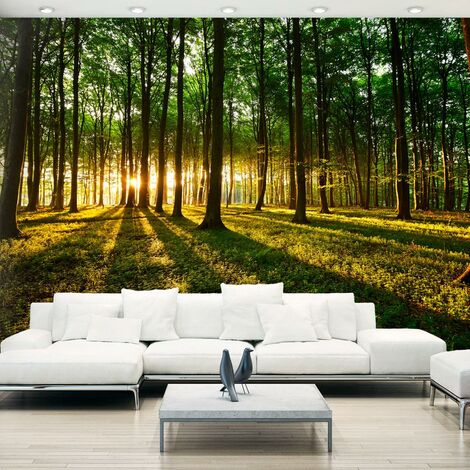 Carta Da Parati Fotomurale - Mystical Morning 100x70cm Erroi