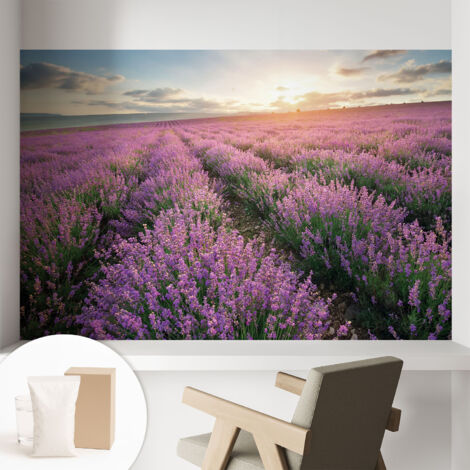 Carta Da Parati In Vlies Decorativa Per Pareti - Con Motivi Moderni - Con Colori Intensi - Per Ufficio Campi di lavanda 104x70 cm