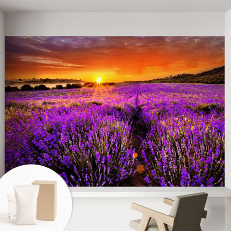 Carta Da Parati In Vlies Decorativa Per Pareti - Con Motivi Moderni - Con Colori Intensi - Per Ufficio Tramonto alla lavanda 152x104 cm