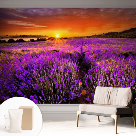 Carta Da Parati In Vlies Decorativa Per Pareti - Con Motivi Moderni - Con Colori Intensi - Per Ufficio Tramonto alla lavanda 312x219 cm