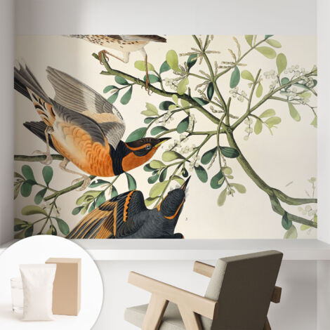 Carta Da Parati In Vlies Decorativa Per Pareti - Con Motivi Moderni - Con Colori Intensi - Per Ufficio Uccelli colorati 104x70 cm