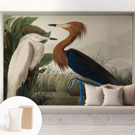 Carta Da Parati In Vlies Decorativa Per Pareti - Con Motivi Moderni - Con Colori Intensi - Per Ufficio Uccelli tra le piante 208x146 cm