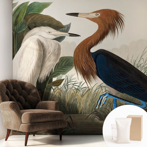 Carta Da Parati In Vlies Decorativa Per Pareti - Con Motivi Moderni - Con Colori Intensi - Per Ufficio Uccelli tra le piante 250x250 cm