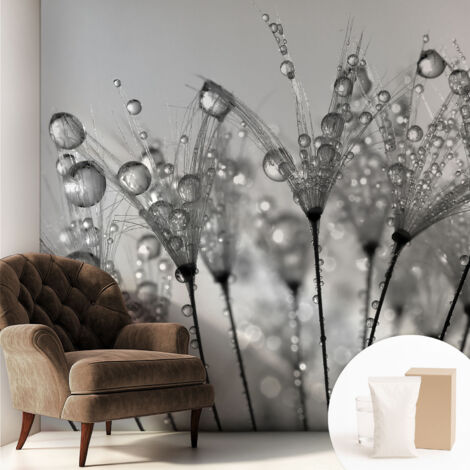 Carta Da Parati In Vlies - Fotomurale - Decorazione Paretie - Per Camera Da Letto - Per Soggiorno - Con Colla Gratuita Delizia bagnata 250x250 cm